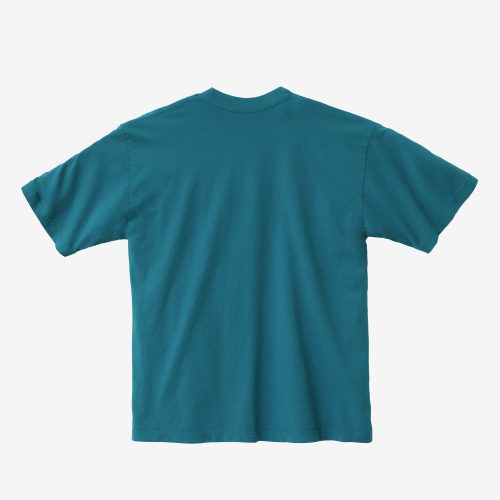 1801GD darkteal back