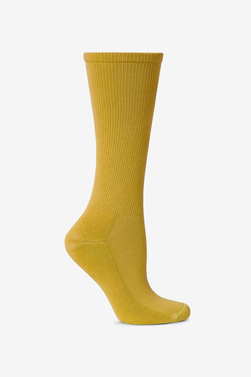 Spectra Yellow 2