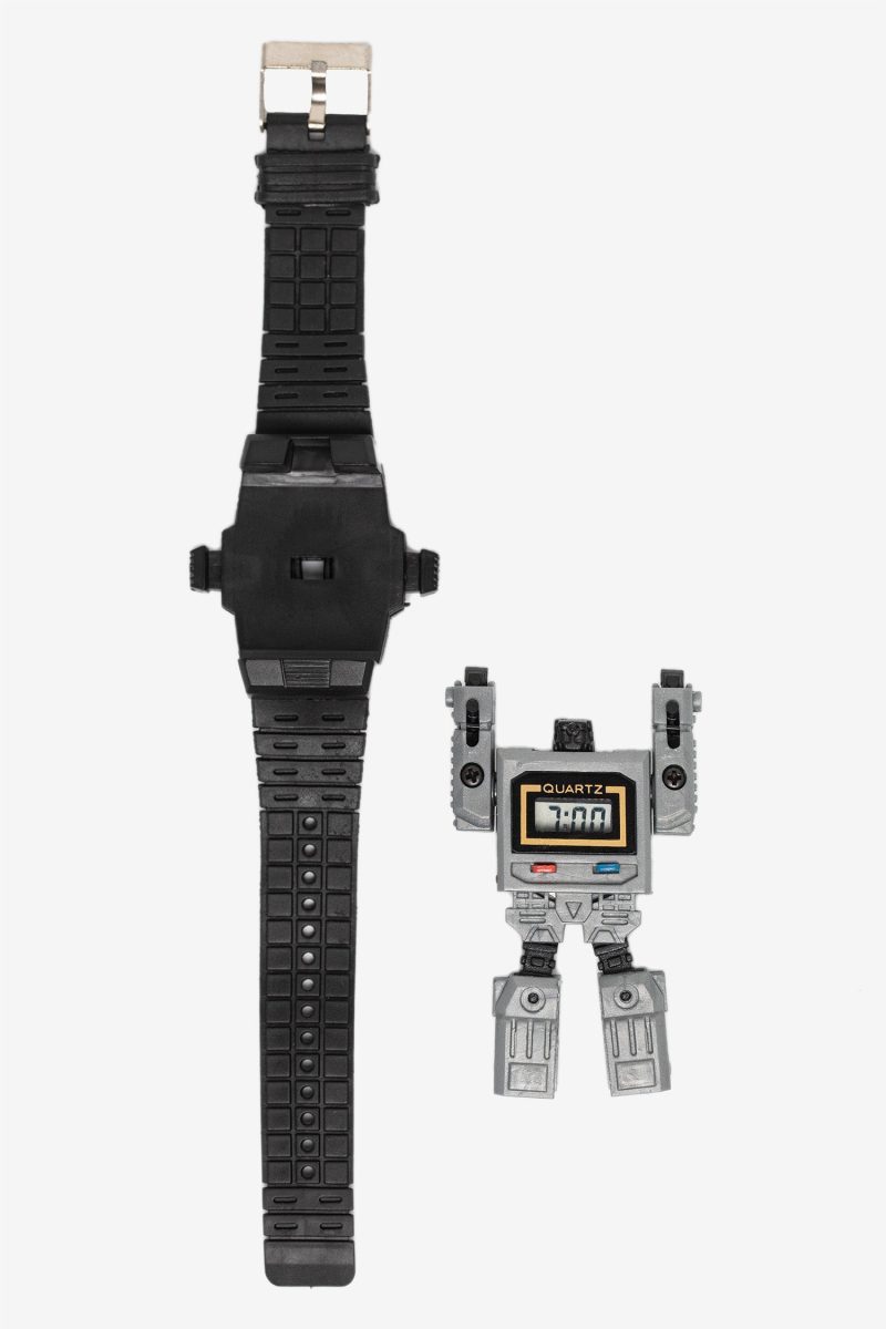 WCHROBOT grey 1